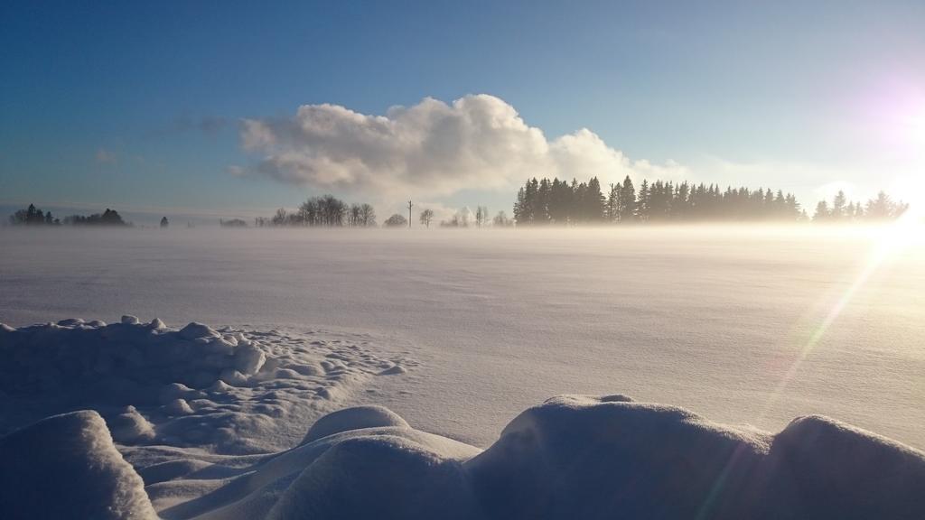 Schwarzwald Lodge Rothaus Grafenhausen Eksteriør bilde